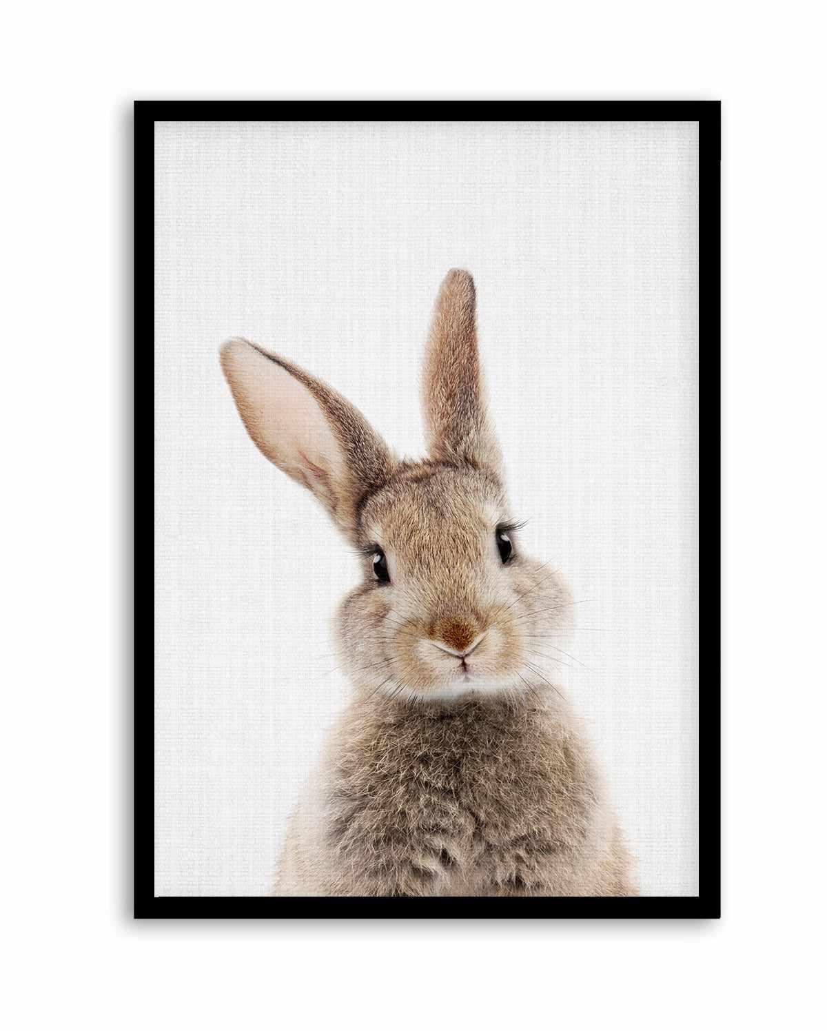 Peekaboo Bunny By Lola Peacock | Art Print