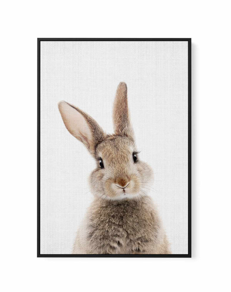 Peekaboo Bunny By Lola Peacock | Framed Canvas Art Print