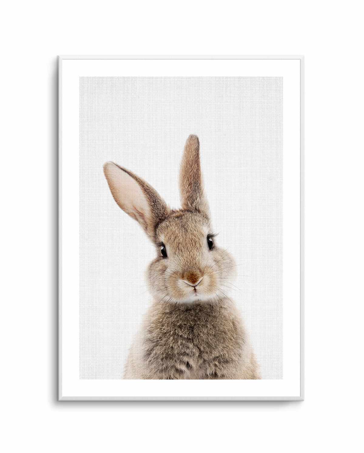 Peekaboo Bunny By Lola Peacock | Art Print