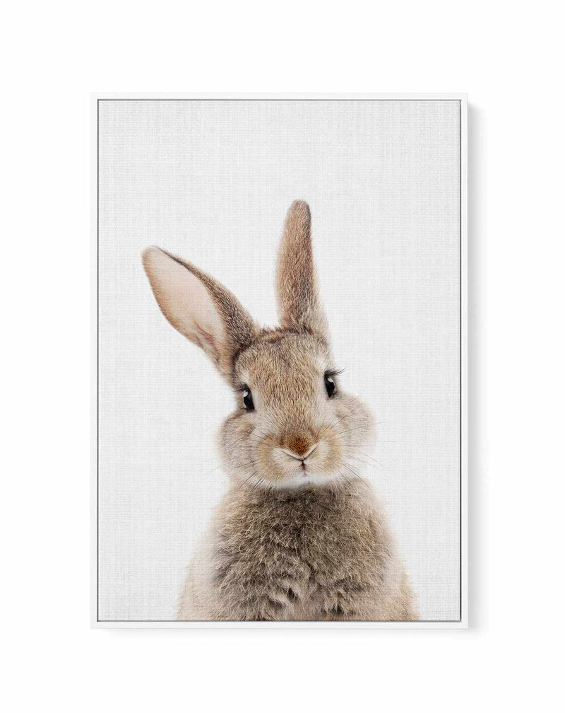 Peekaboo Bunny By Lola Peacock | Framed Canvas Art Print
