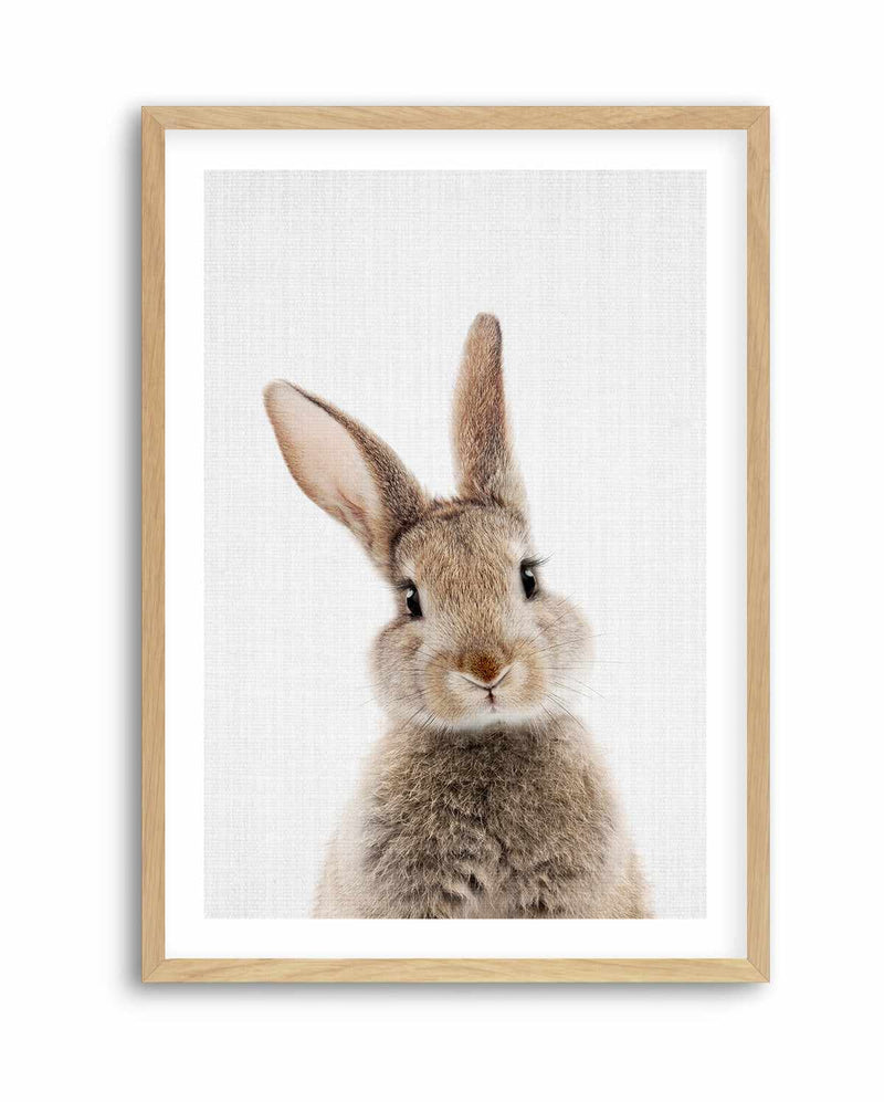 Peekaboo Bunny By Lola Peacock | Art Print