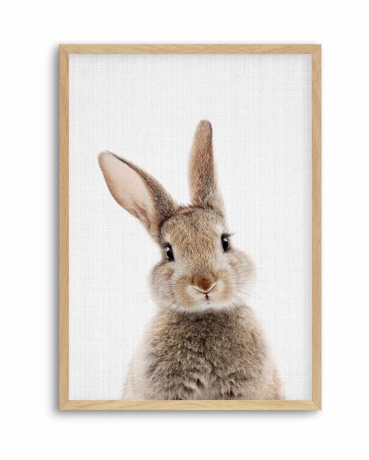 Peekaboo Bunny By Lola Peacock | Art Print