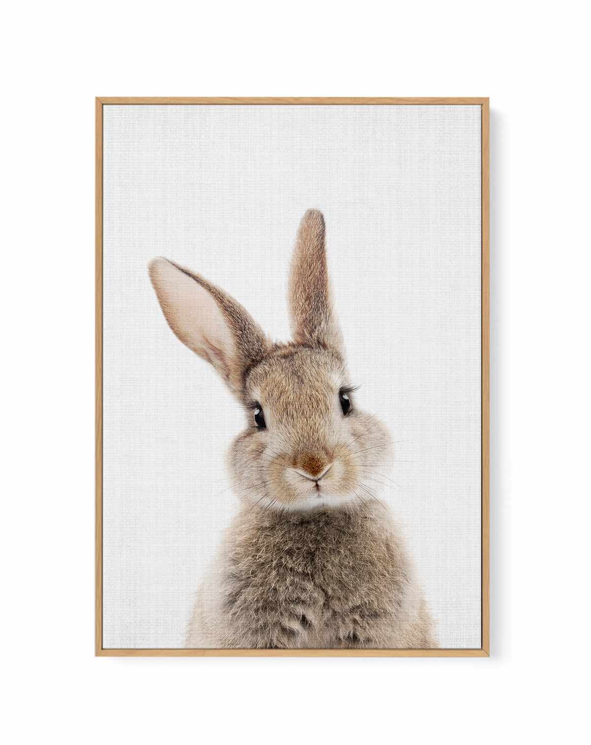 Peekaboo Bunny By Lola Peacock | Framed Canvas Art Print