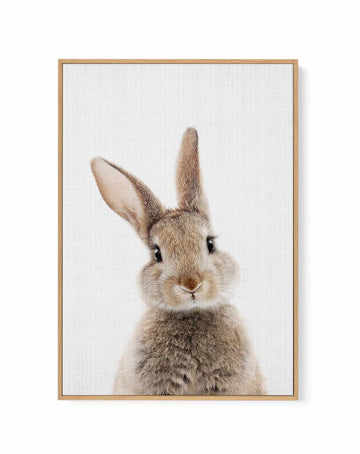 Peekaboo Bunny By Lola Peacock | Framed Canvas Art Print from Olive et Oriel where you can shop wallpaper and artworks online