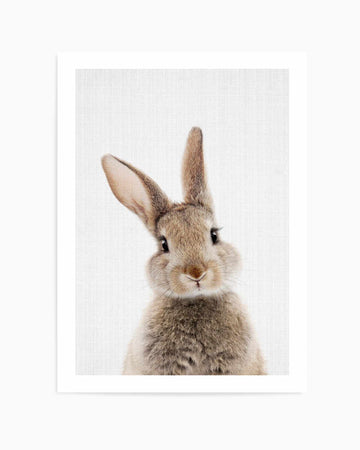 Peekaboo Bunny By Lola Peacock | Art Print from Olive et Oriel where you can shop wallpaper and artworks online