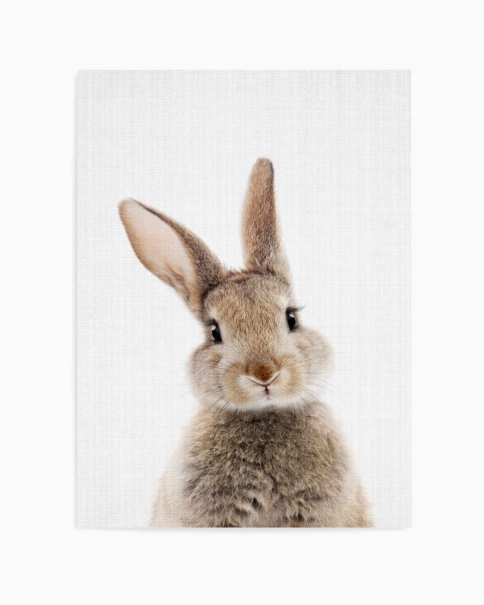 Peekaboo Bunny By Lola Peacock | Art Print