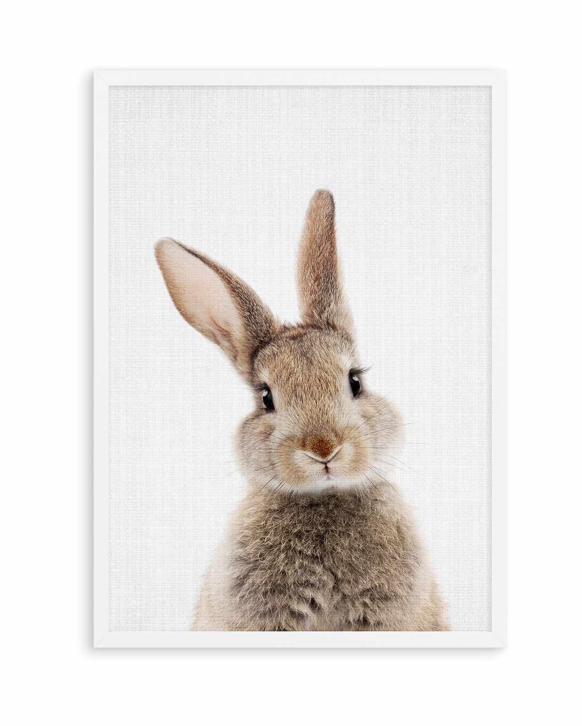 Peekaboo Bunny By Lola Peacock | Art Print