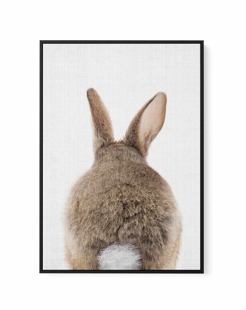 Peekaboo Bunny Tail By Lola Peacock | Framed Canvas Art Print