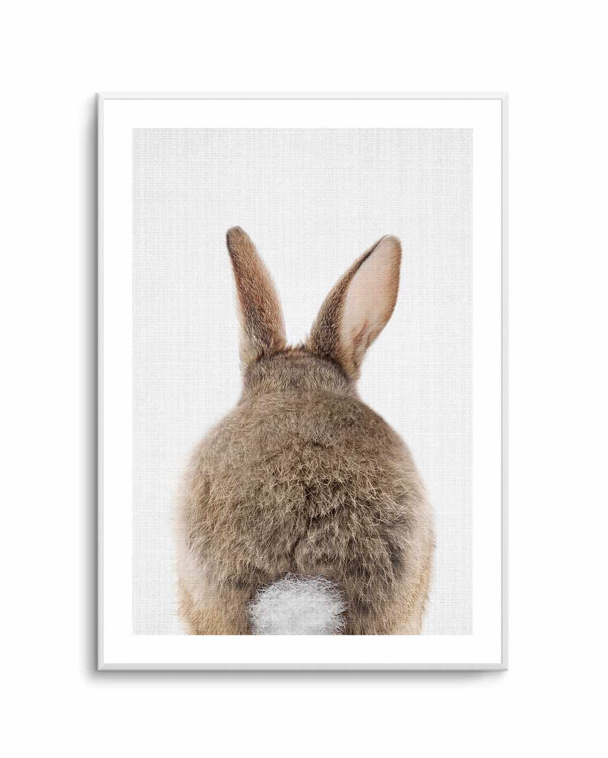 Peekaboo Bunny Tail By Lola Peacock | Art Print