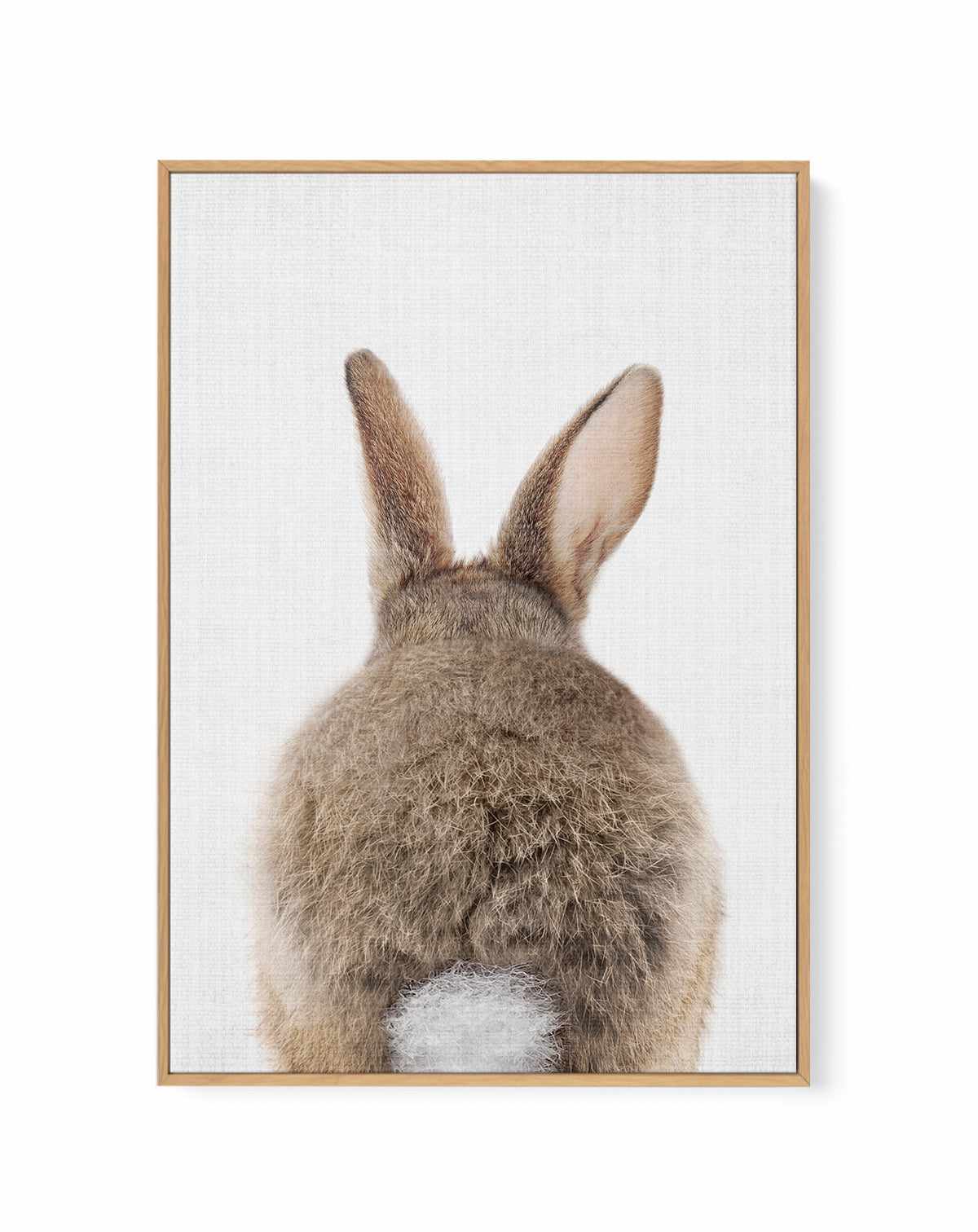 Peekaboo Bunny Tail By Lola Peacock | Framed Canvas Art Print