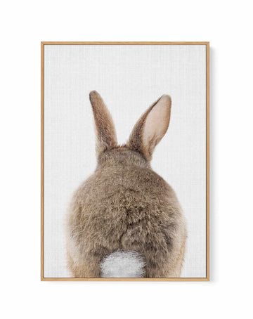 Peekaboo Bunny Tail By Lola Peacock | Framed Canvas Art Print from Olive et Oriel where you can shop wallpaper and artworks online