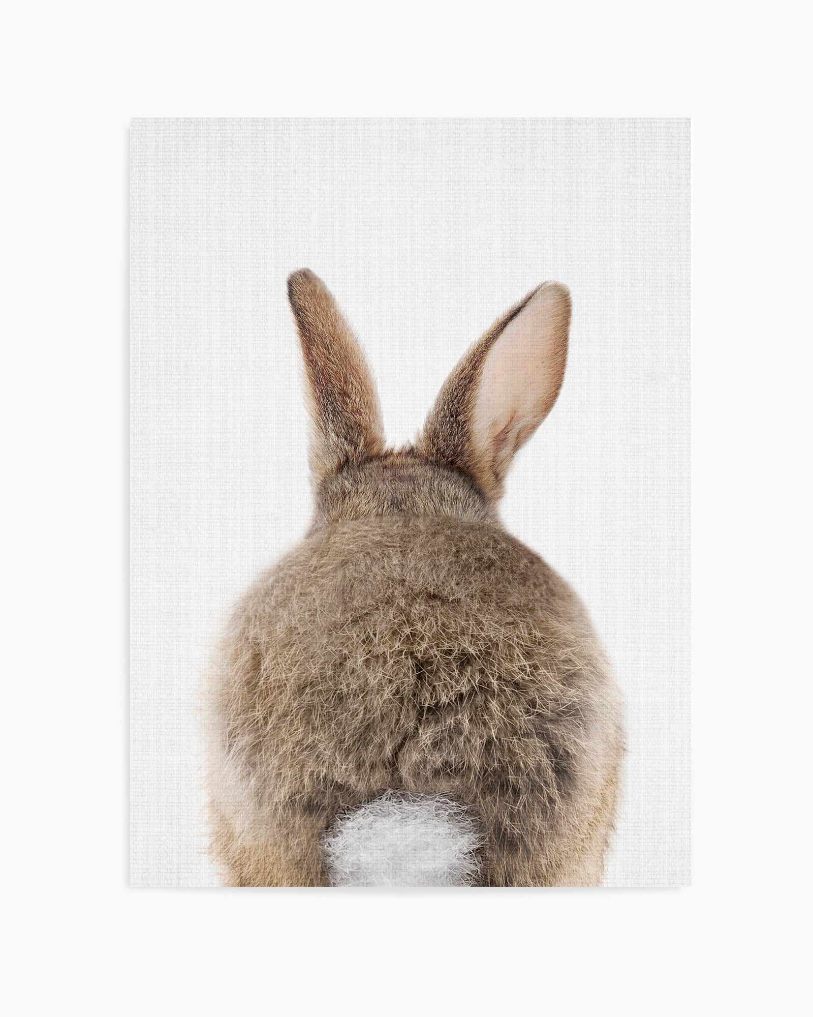 Peekaboo Bunny Tail By Lola Peacock | Art Print