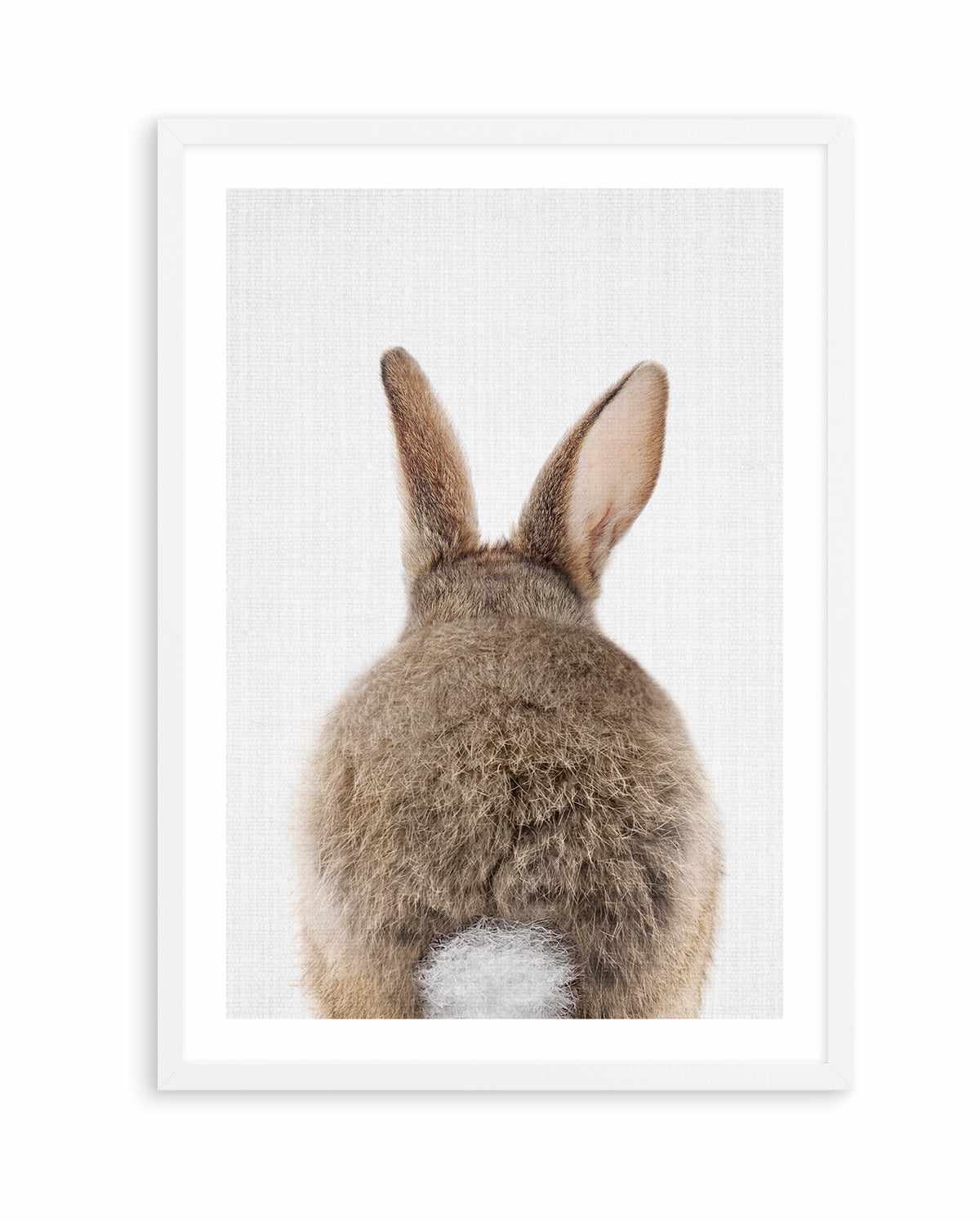 Peekaboo Bunny Tail By Lola Peacock | Art Print