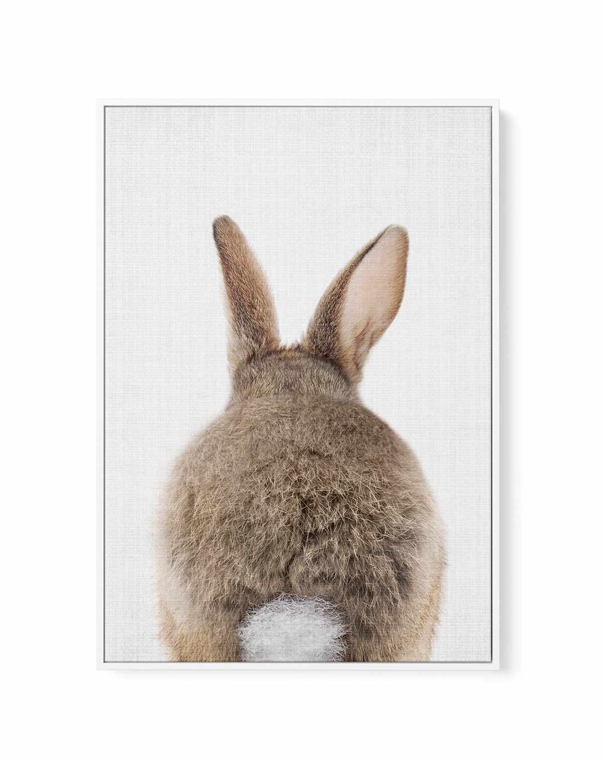 Peekaboo Bunny Tail By Lola Peacock | Framed Canvas Art Print