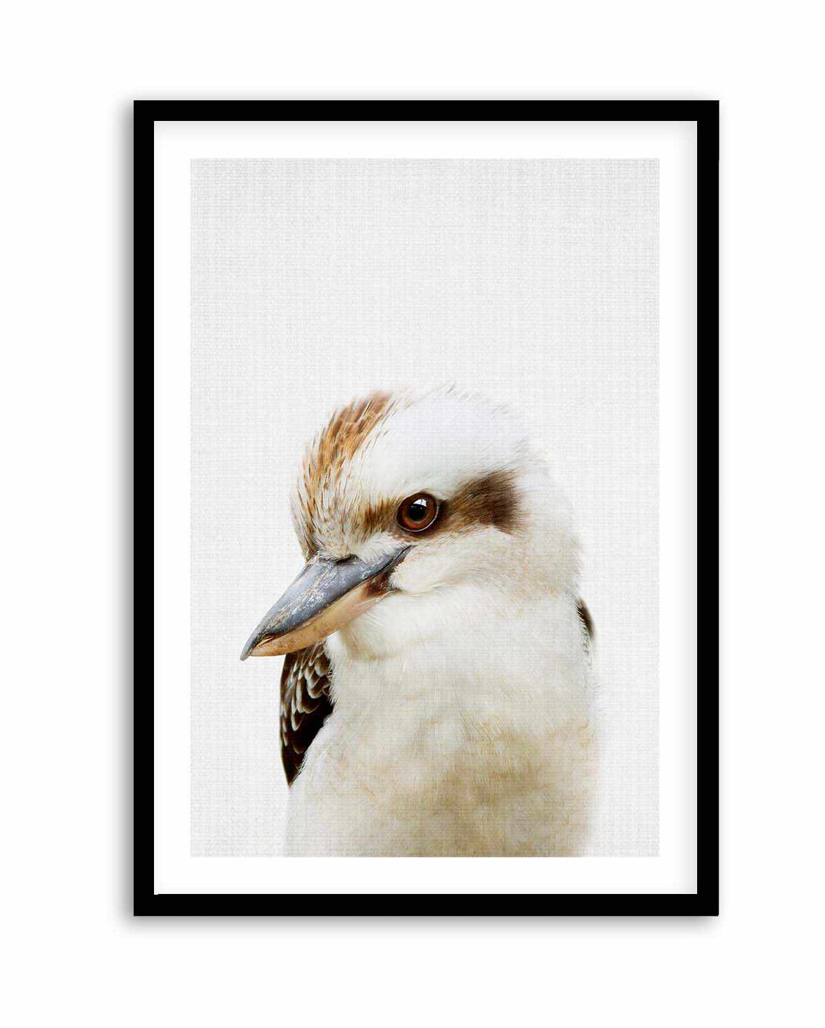 Peekaboo Kookaburra by Lola Peacock | Art Print