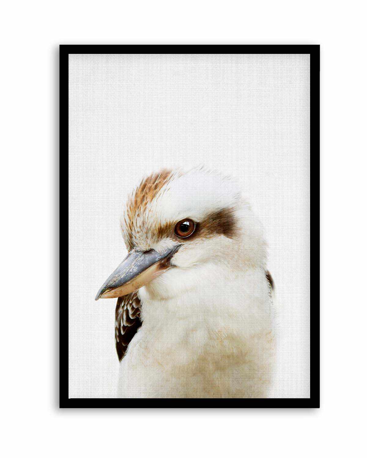 Peekaboo Kookaburra by Lola Peacock | Art Print