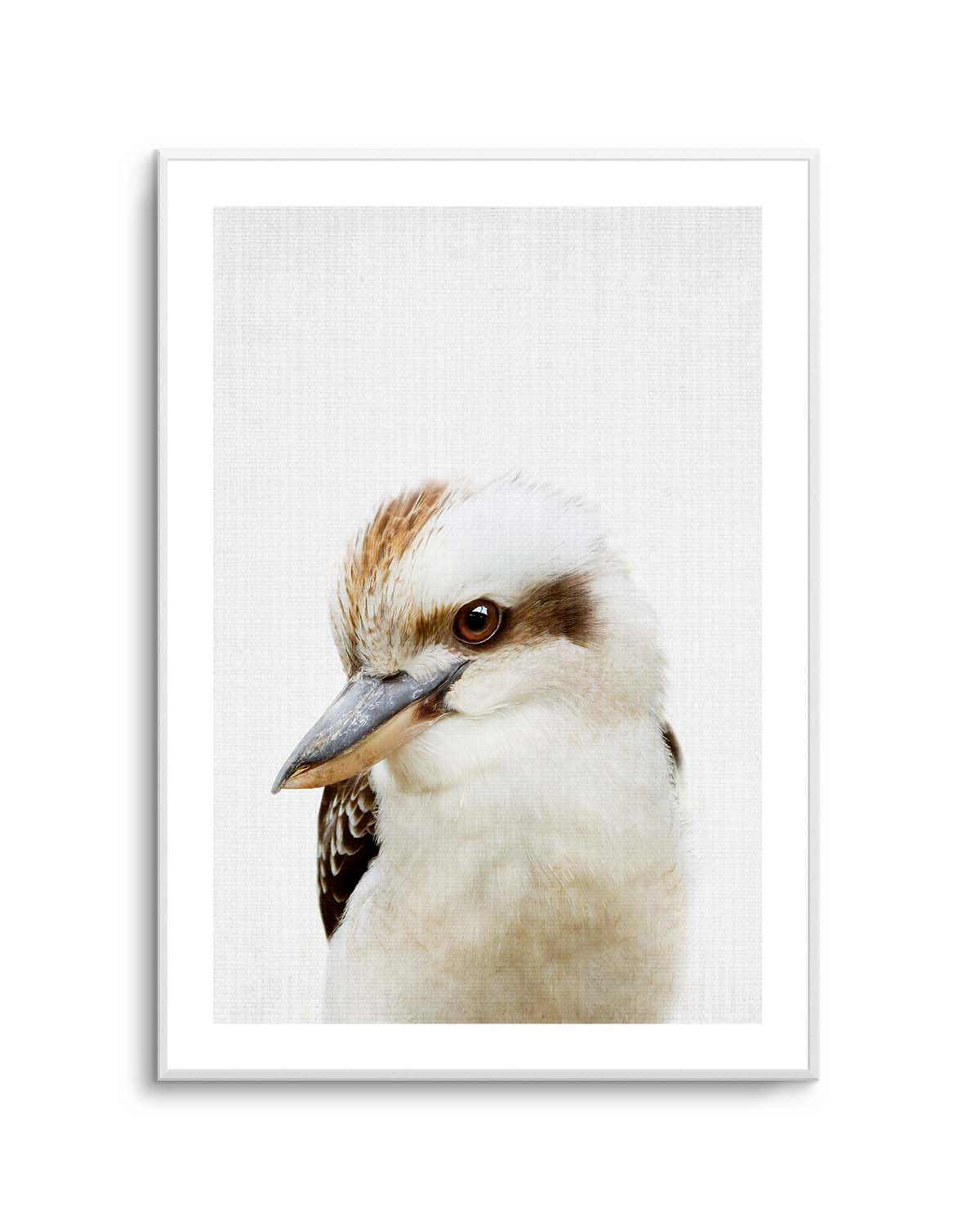 Peekaboo Kookaburra by Lola Peacock | Art Print