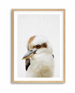Peekaboo Kookaburra by Lola Peacock | Art Print