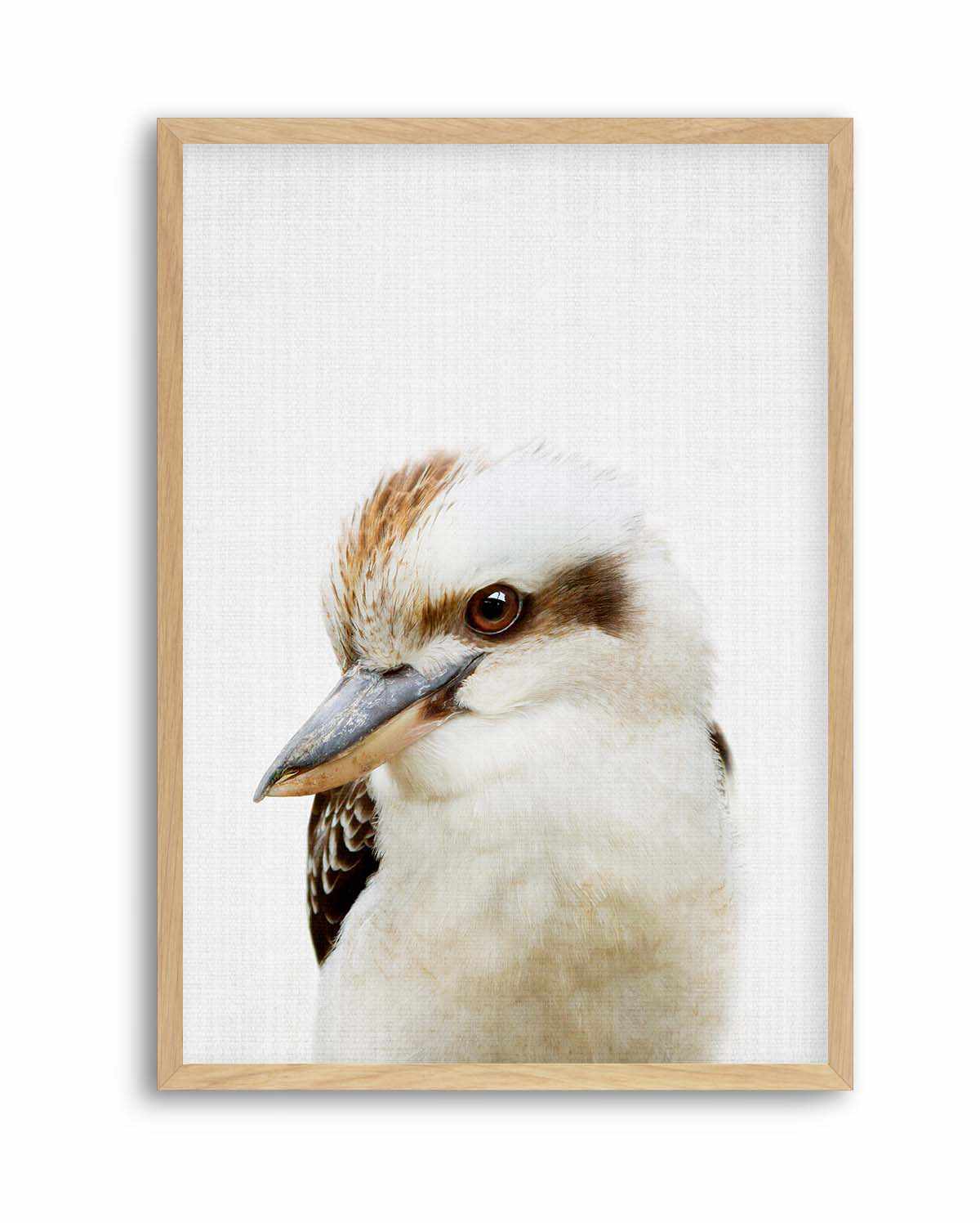 Peekaboo Kookaburra by Lola Peacock | Art Print