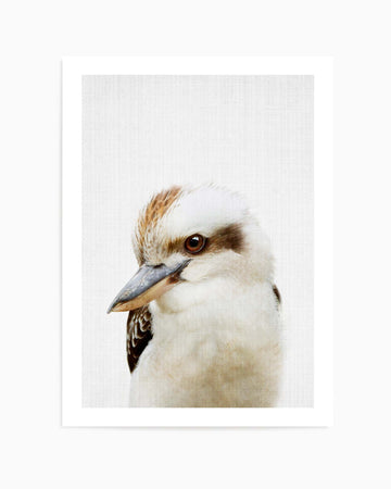 Peekaboo Kookaburra by Lola Peacock | Art Print from Olive et Oriel where you can shop wallpaper and artworks online