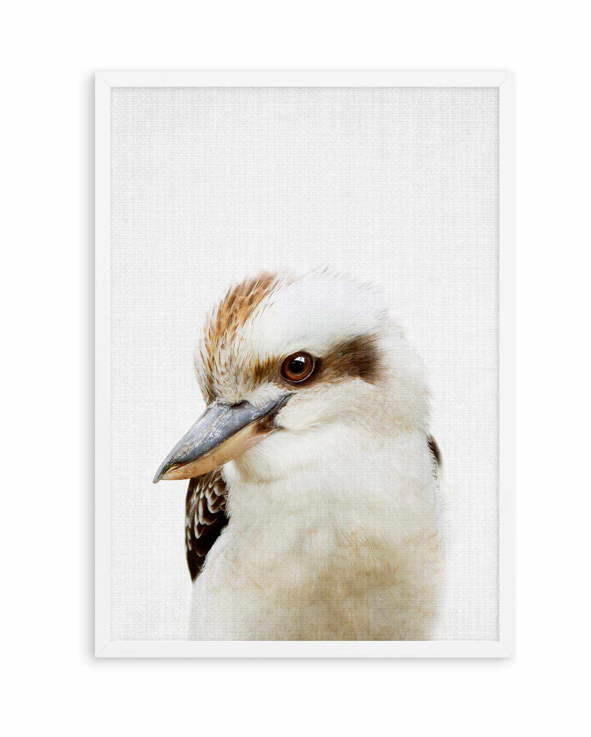 Peekaboo Kookaburra by Lola Peacock | Art Print