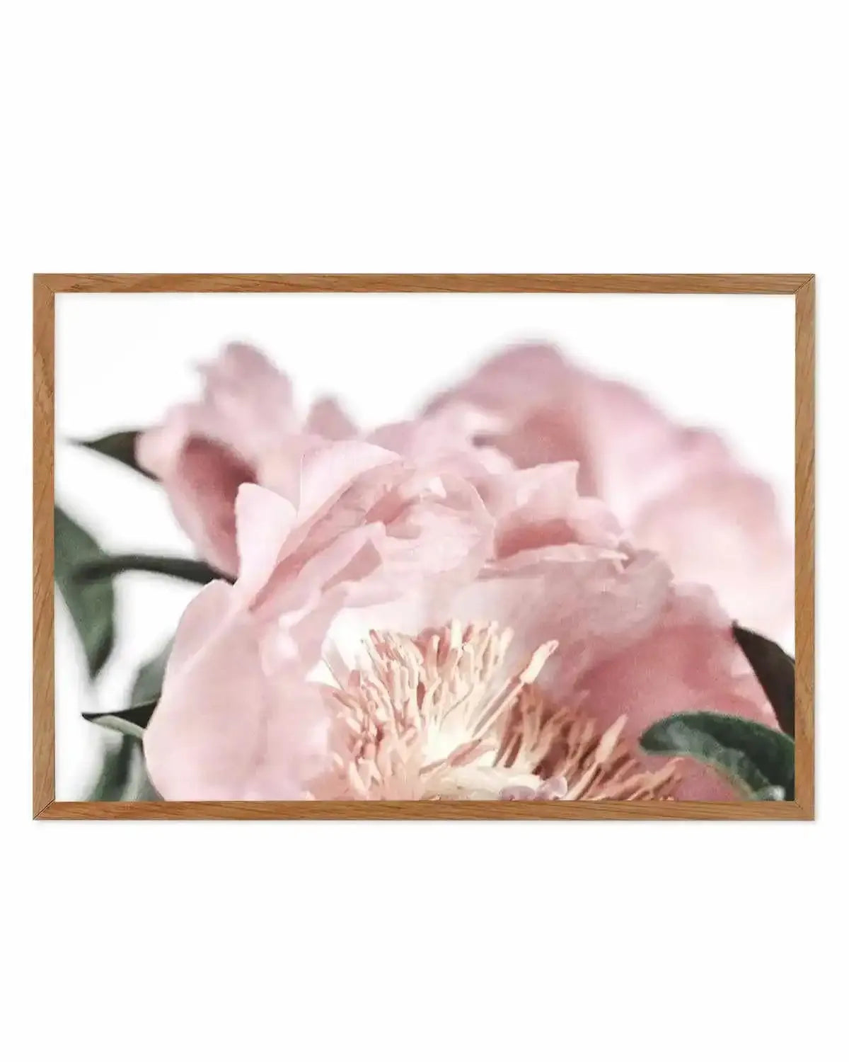 Peonies II Art Print from Olive et Oriel where you can shop wallpaper and artworks online