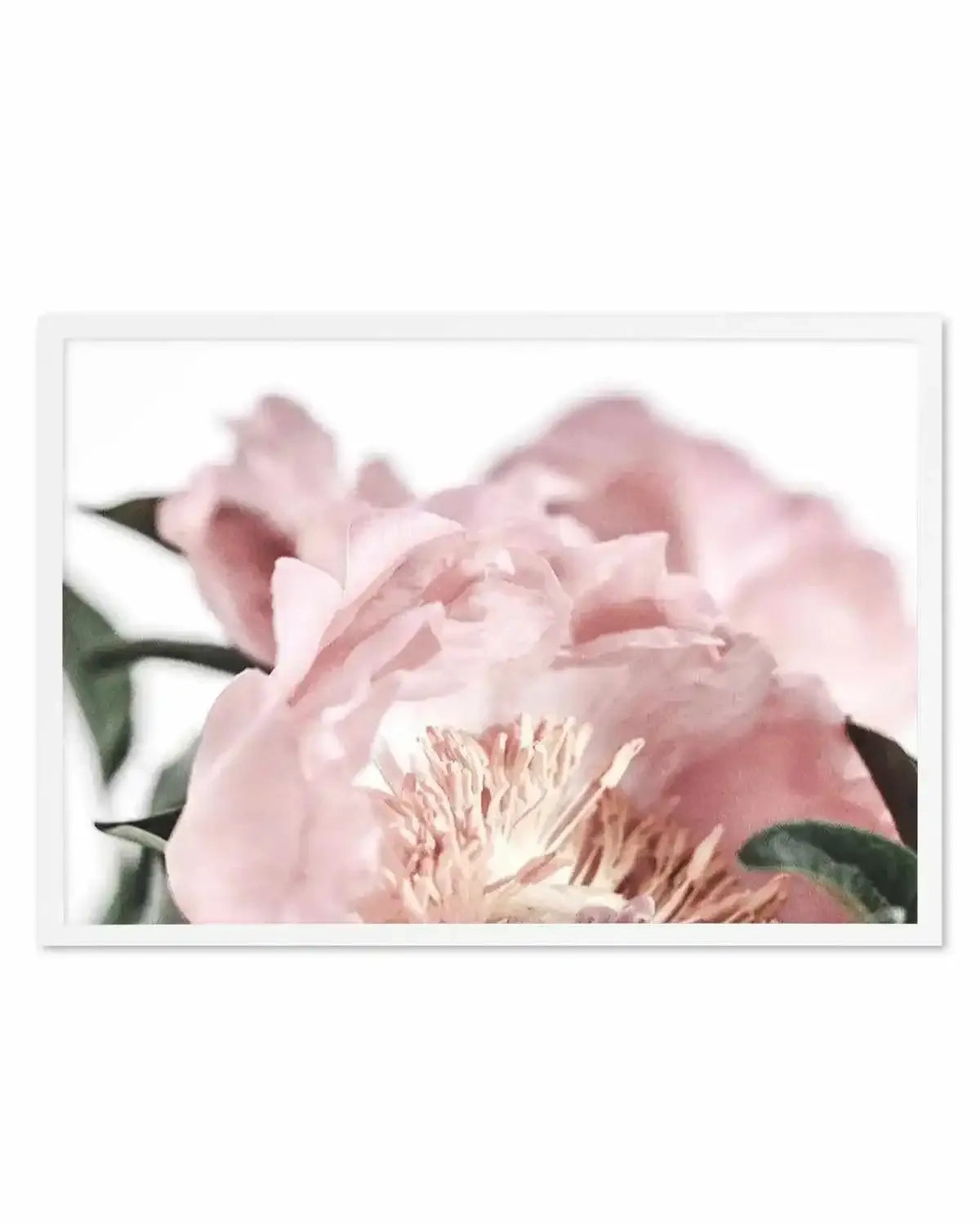 Peonies II Art Print from Olive et Oriel where you can shop wallpaper and artworks online