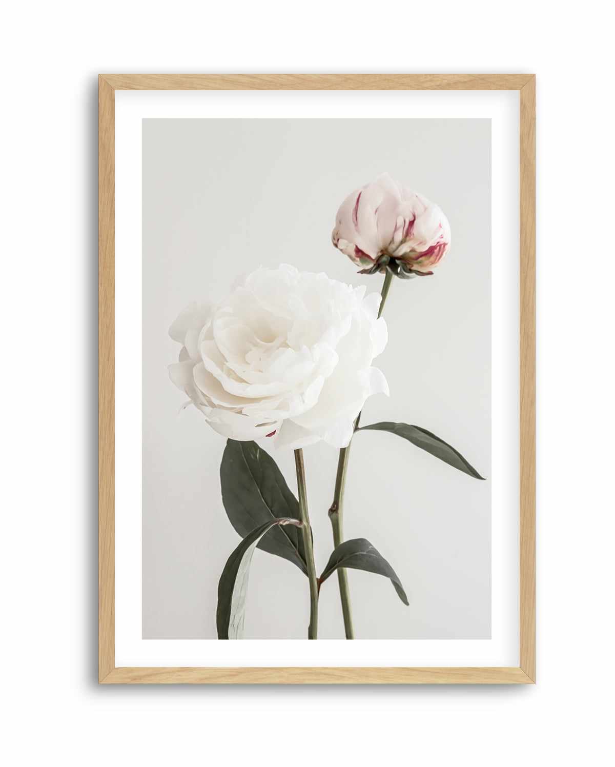 Peony 12 By Studio III | Art Print from Olive et Oriel where you can shop wallpaper and artworks online