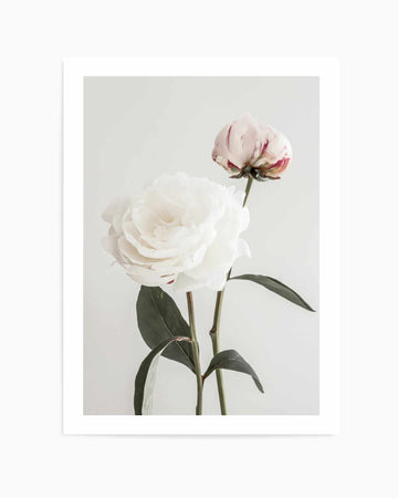 Peony 12 By Studio III | Art Print from Olive et Oriel where you can shop wallpaper and artworks online