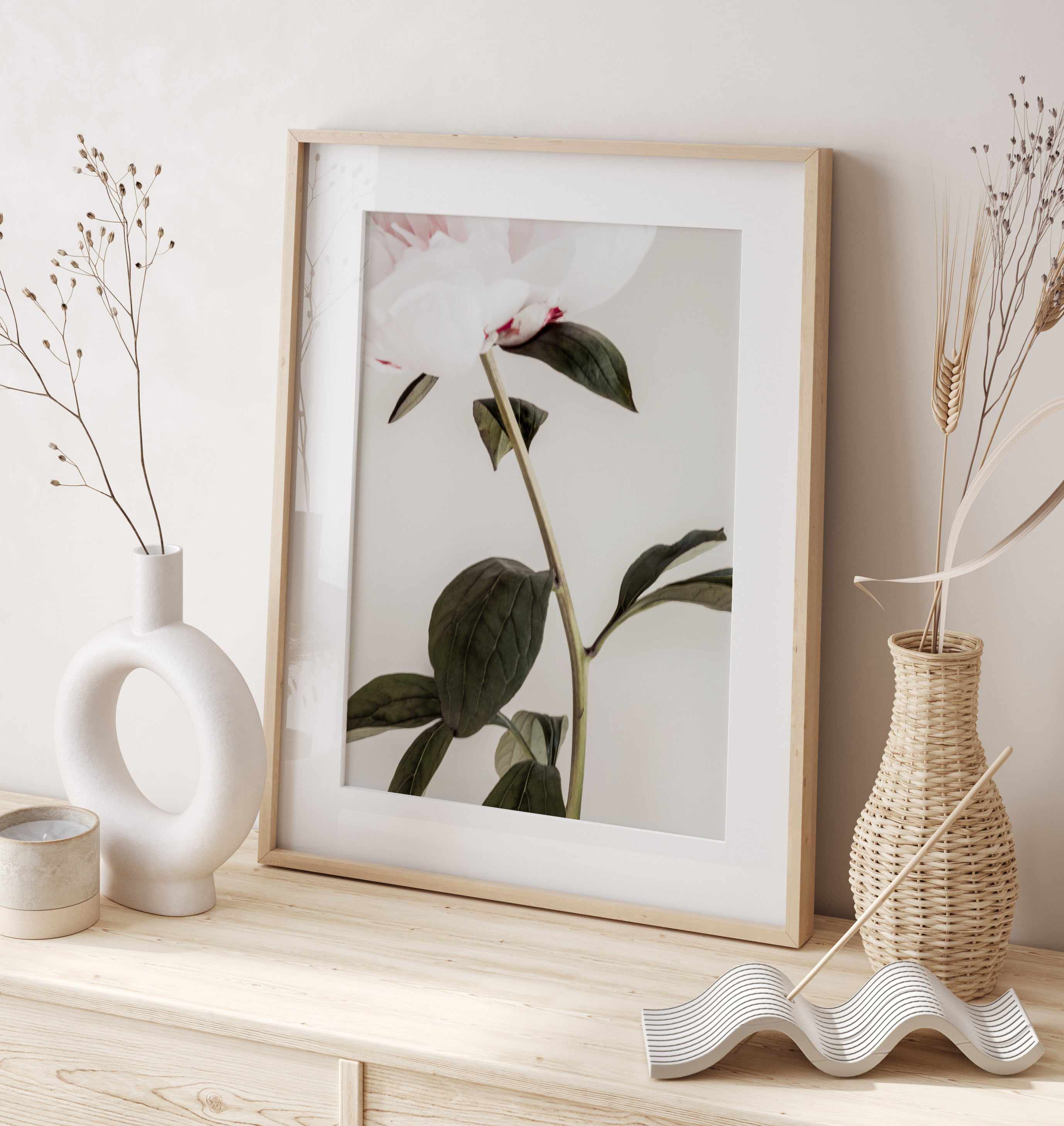 Peony 09 By Studio III | Art Print