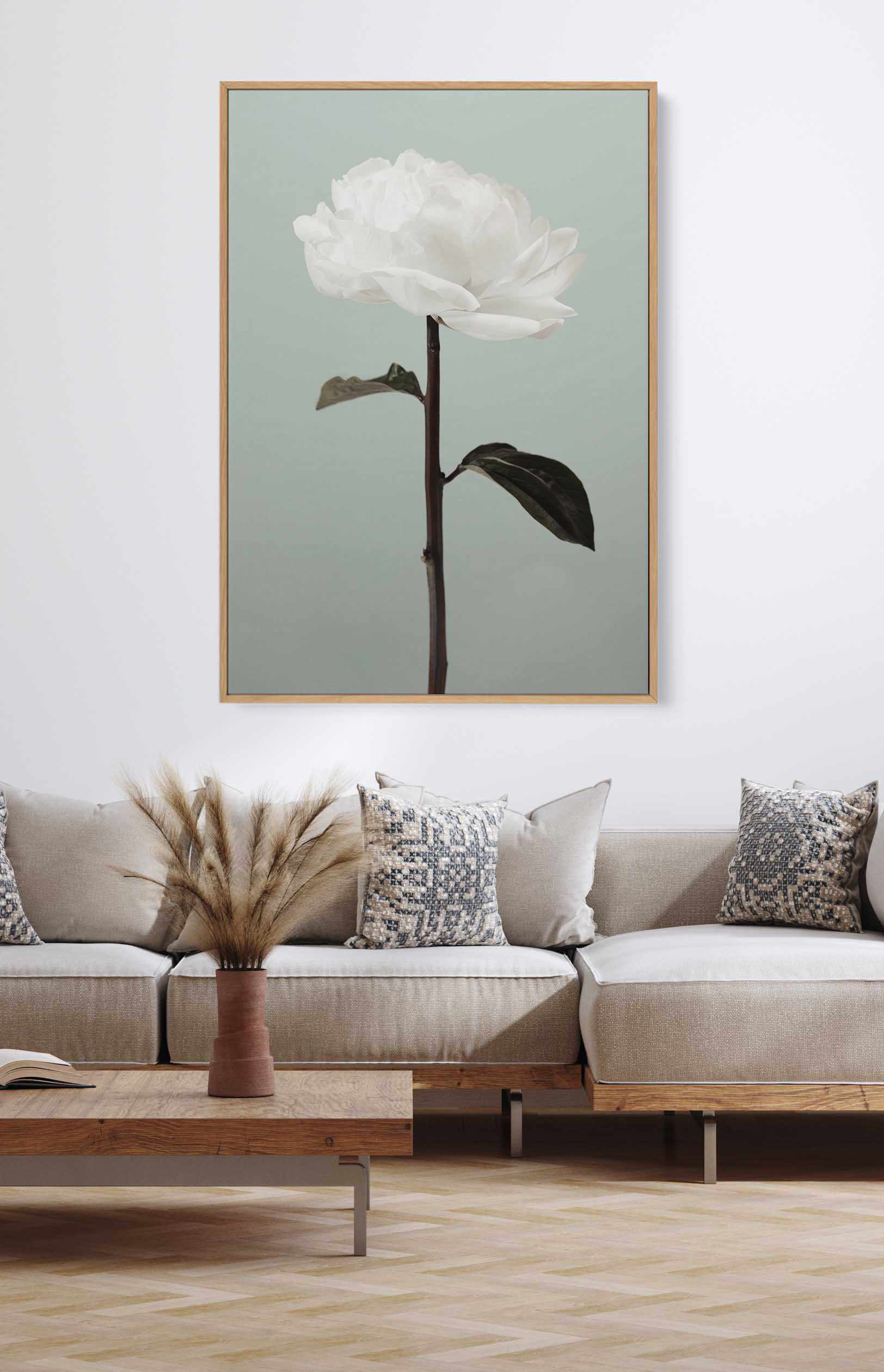 Peony 16 By Studio III | Framed Canvas Art Print