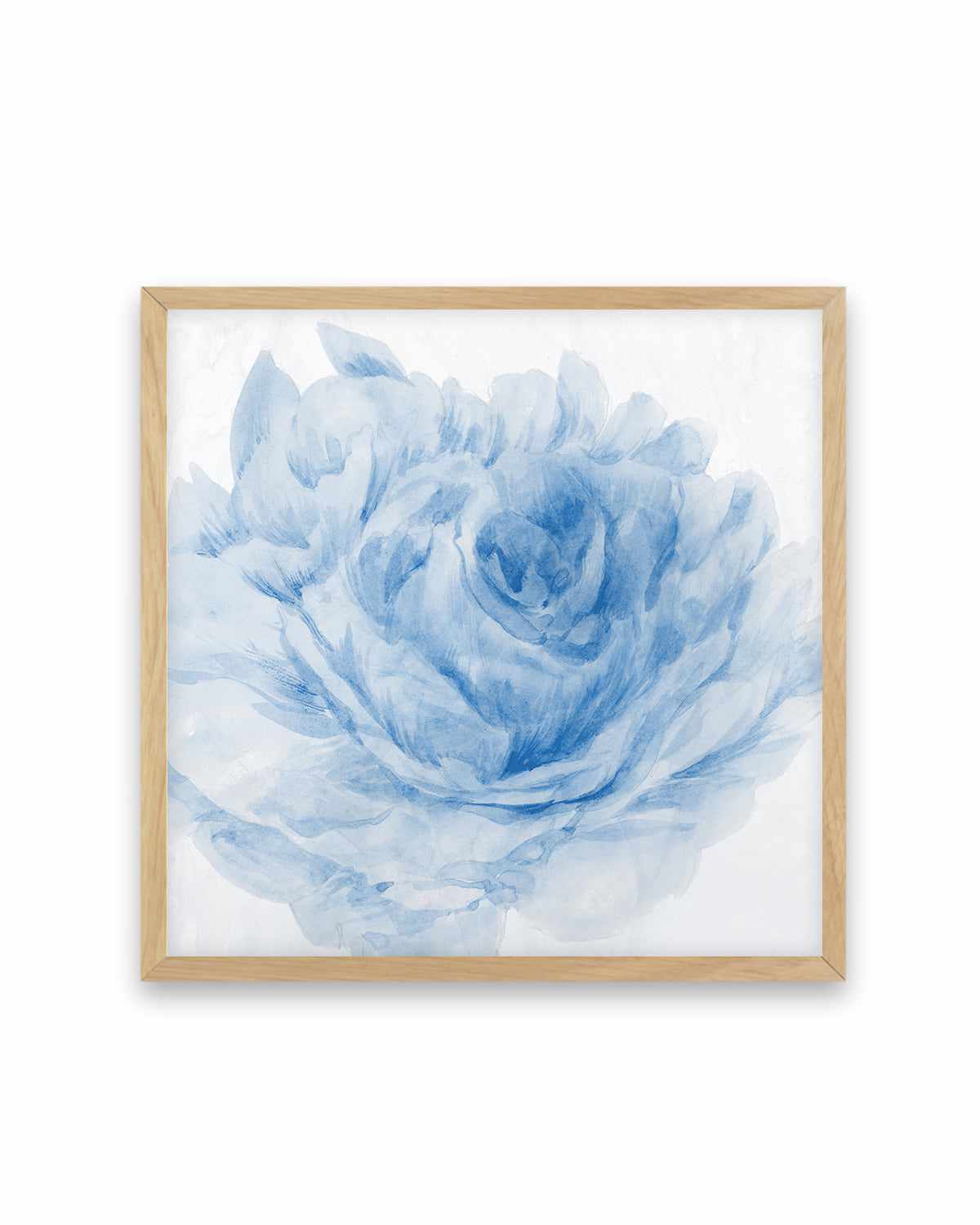 Peony Blue I Art Print