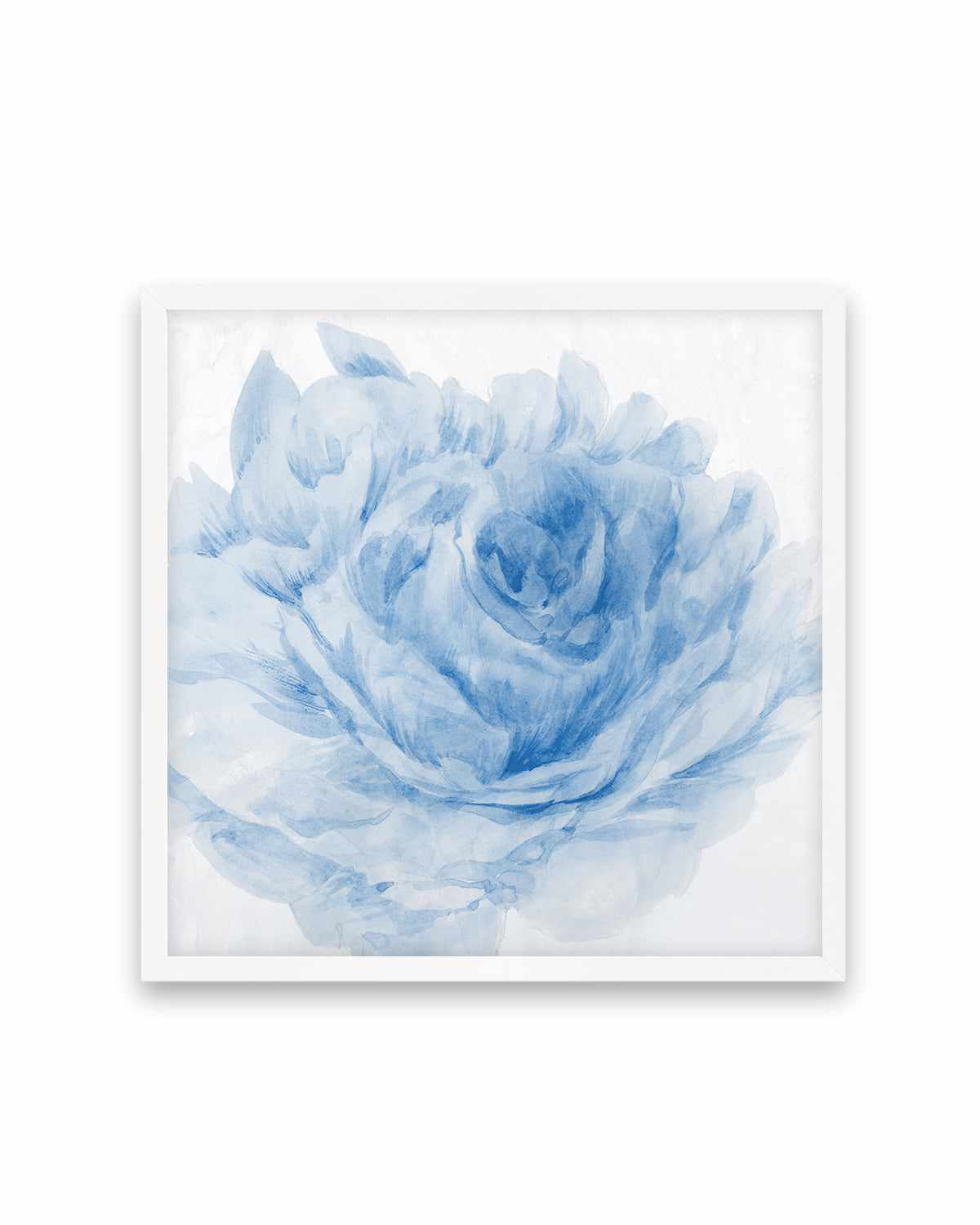 Peony Blue I Art Print