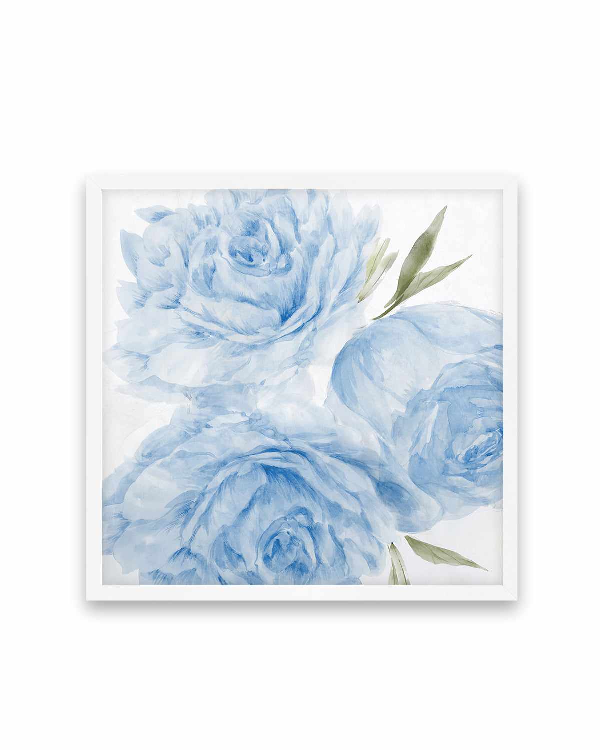 Peony Blue II Art Print