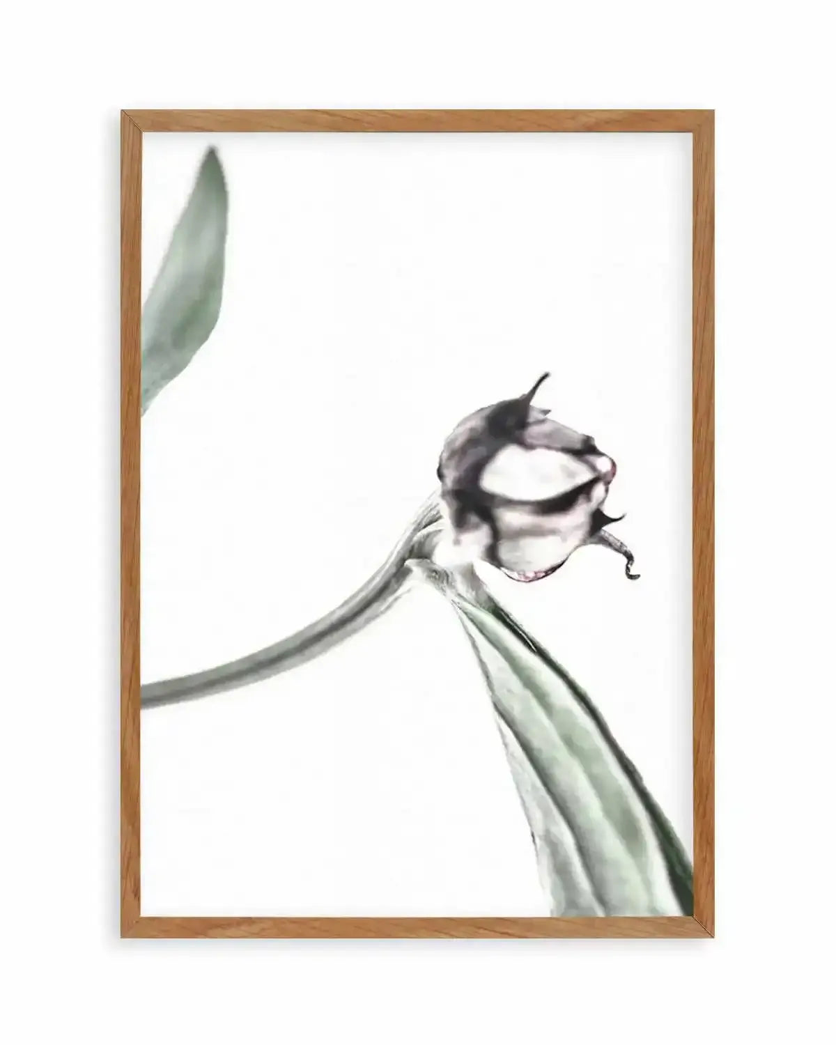 Peony Bud I Art Print from Olive et Oriel where you can shop wallpaper and artworks online