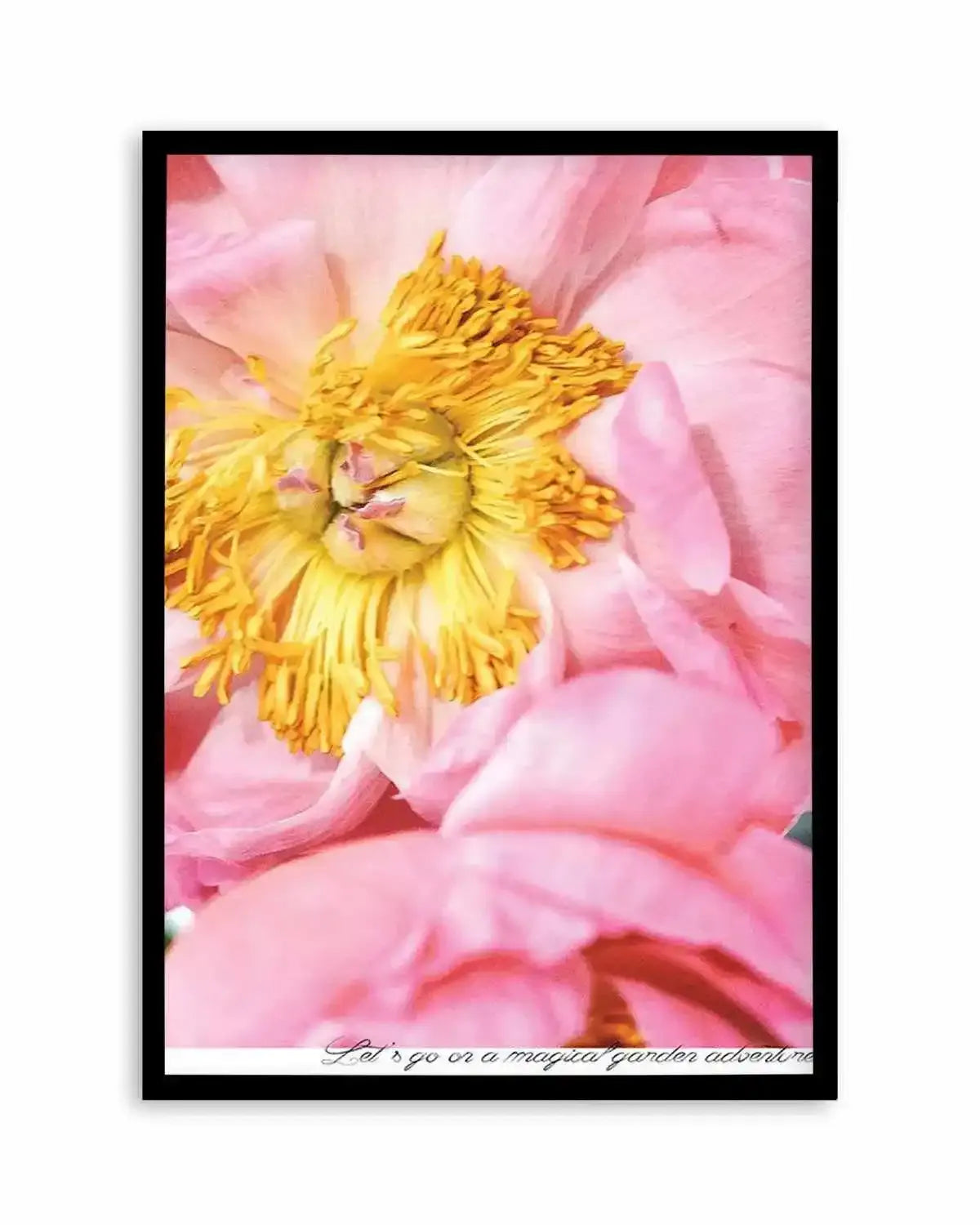 Peony Garden Art Print from Olive et Oriel where you can shop wallpaper and artworks online