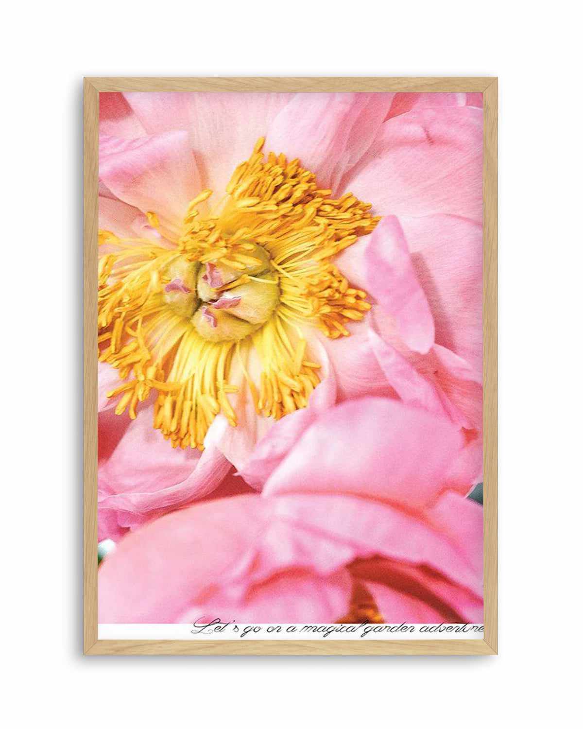 Peony Garden Art Print