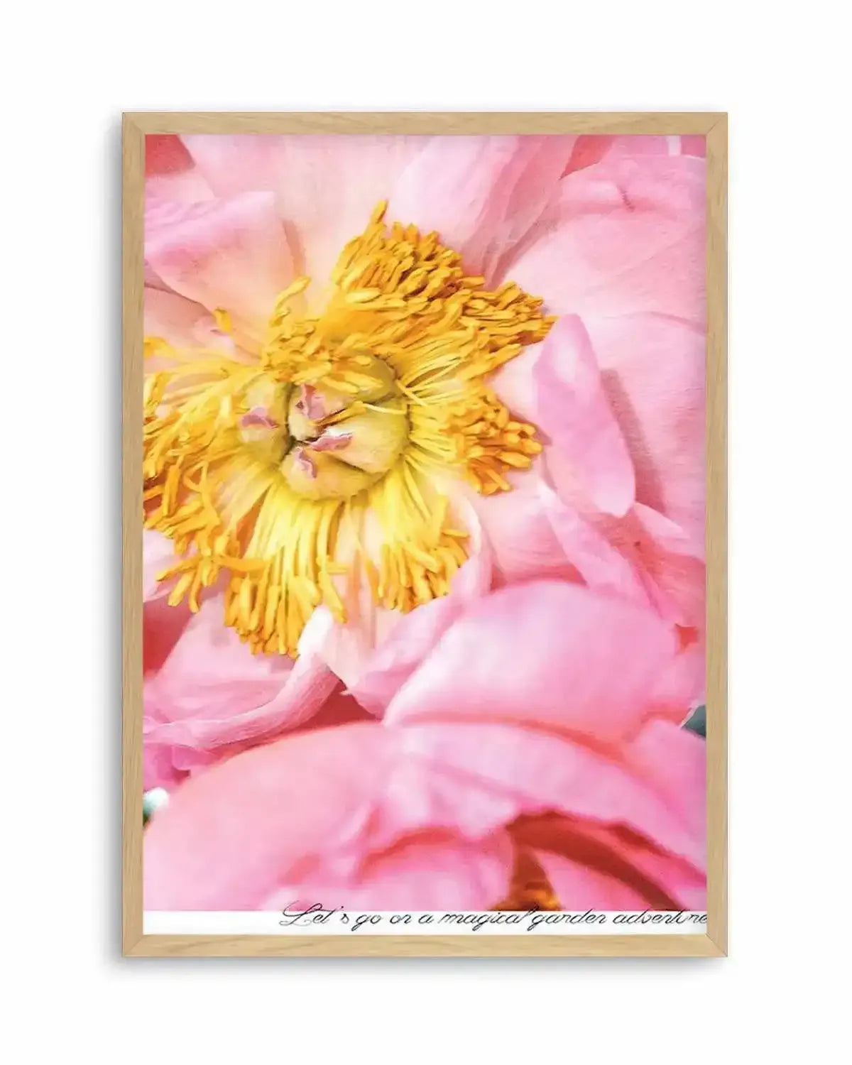 Peony Garden Art Print from Olive et Oriel where you can shop wallpaper and artworks online