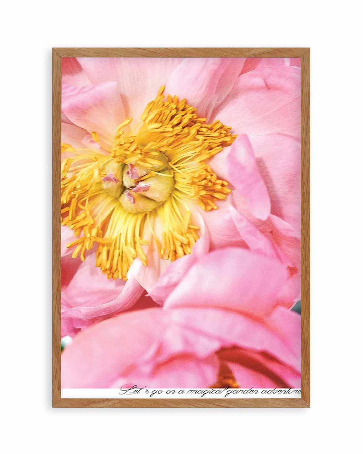 Peony Garden Art Print