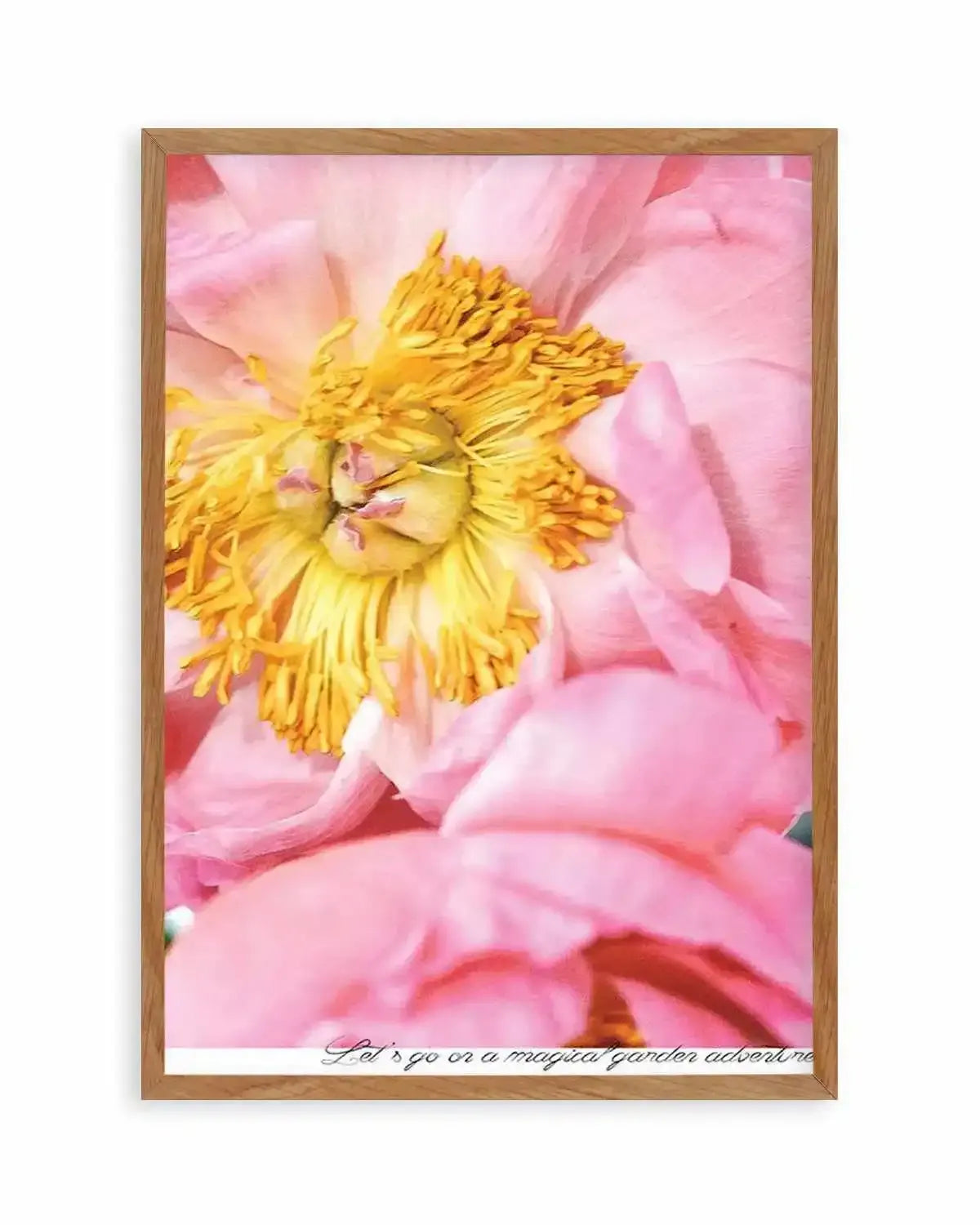 Peony Garden Art Print from Olive et Oriel where you can shop wallpaper and artworks online