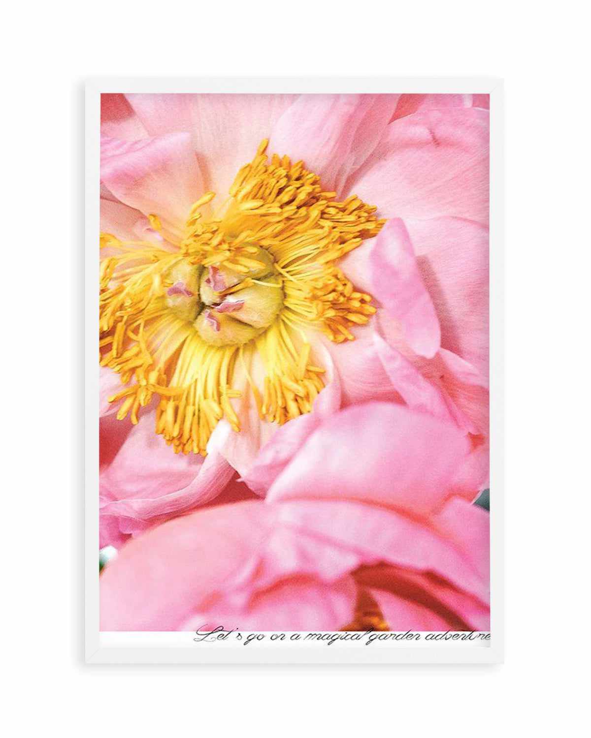 Peony Garden Art Print