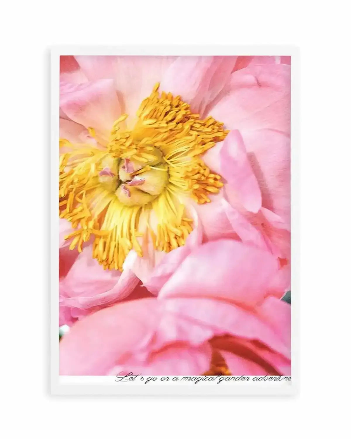 Peony Garden Art Print from Olive et Oriel where you can shop wallpaper and artworks online