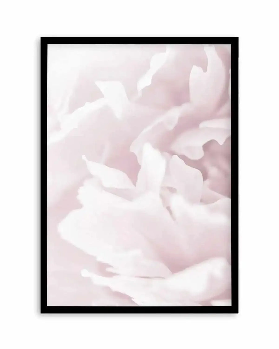 Peony In Bloom I Art Print art print, framed