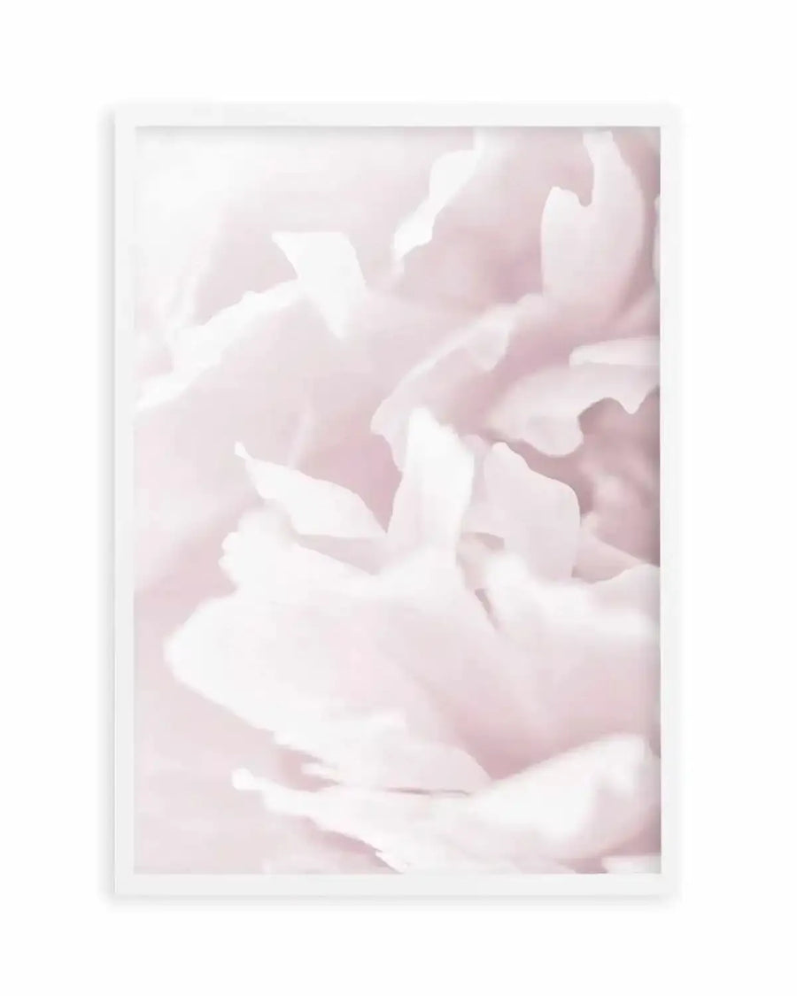 Peony In Bloom I Art Print art print, framed