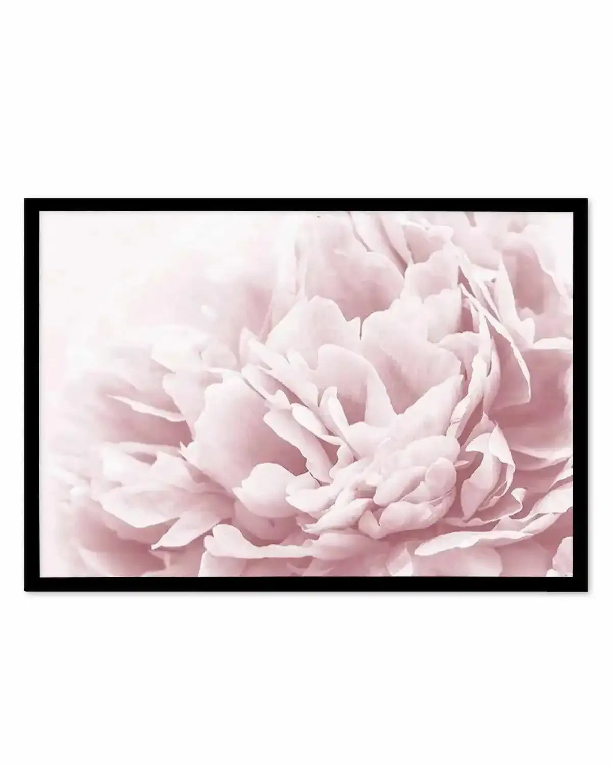 Peony In Bloom II Art Print from Olive et Oriel where you can shop wallpaper and artworks online