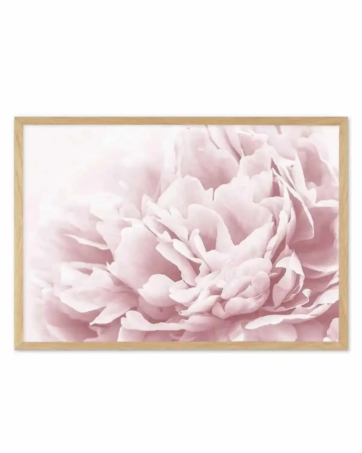 Peony In Bloom II Art Print from Olive et Oriel where you can shop wallpaper and artworks online