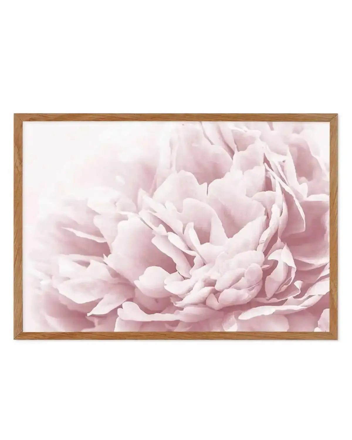 Peony In Bloom II Art Print from Olive et Oriel where you can shop wallpaper and artworks online