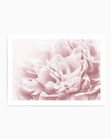 Peony In Bloom II Art Print art print, framed