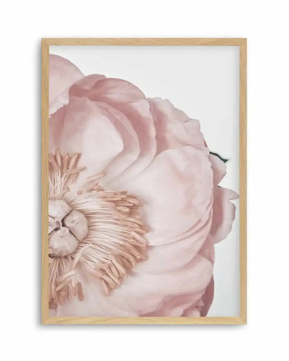 Peony Parfait I Art Print from Olive et Oriel where you can shop wallpaper and artworks online