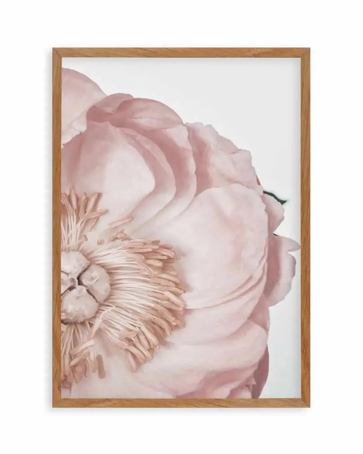Peony Parfait I Art Print from Olive et Oriel where you can shop wallpaper and artworks online